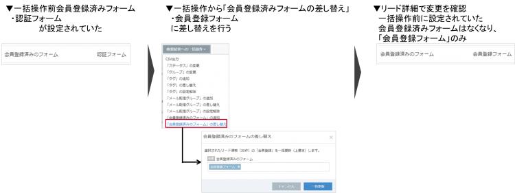 basic_lead_lead_management_lead_list_detail04.png
