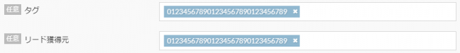 basic_lead_individual_registration_detail07.png